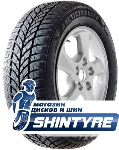 WP-05 Arctic TrekkerMaxxis 205/40 R17 WP-05 Arctic Trekker 84V