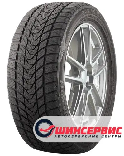 Winter WD1Delinte 255/45 R19 Winter WD1 100H