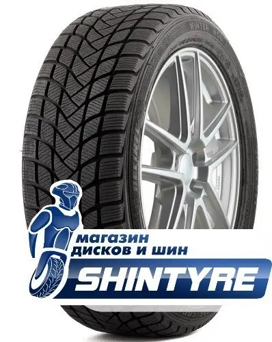 Winter WD6Delinte 205/55 R17 Winter WD6 95H
