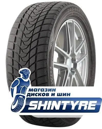 Winter WD1Delinte 255/45 R19 Winter WD1 100H