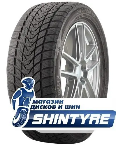 Winter WD1Delinte 245/50 R18 Winter WD1 100H
